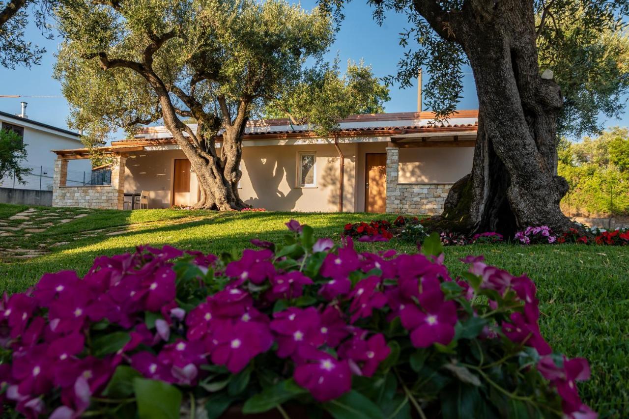 Il Mirto Aparthotel