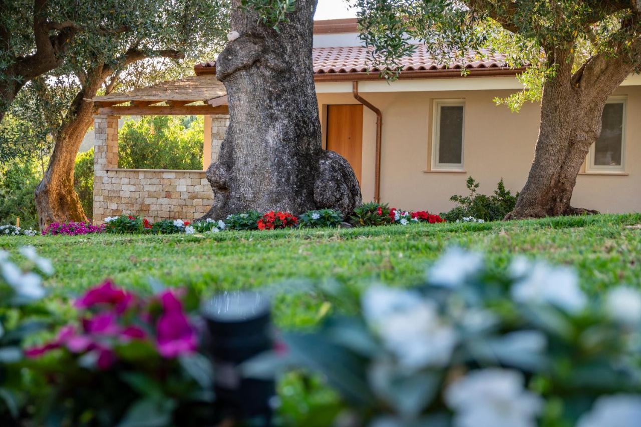 Aparthotel Il Mirto Marina di Camerota